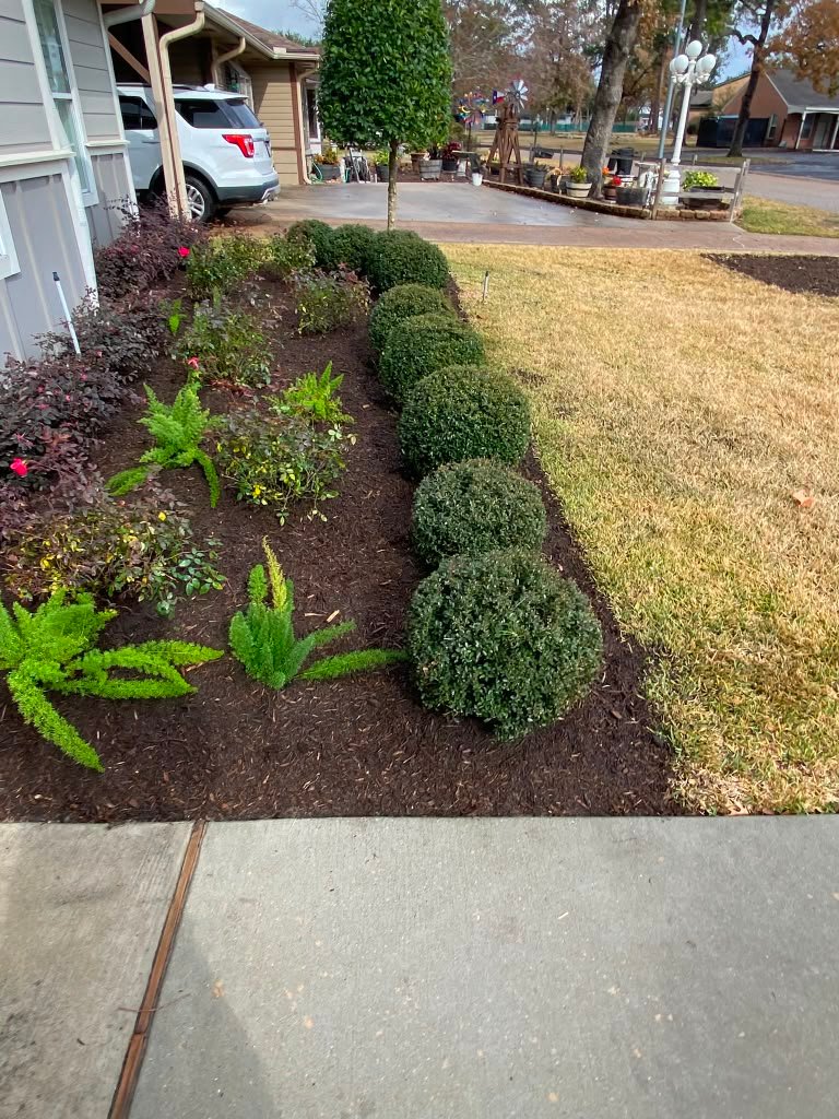 Professionally shaped shrubs and hedges at a residential property